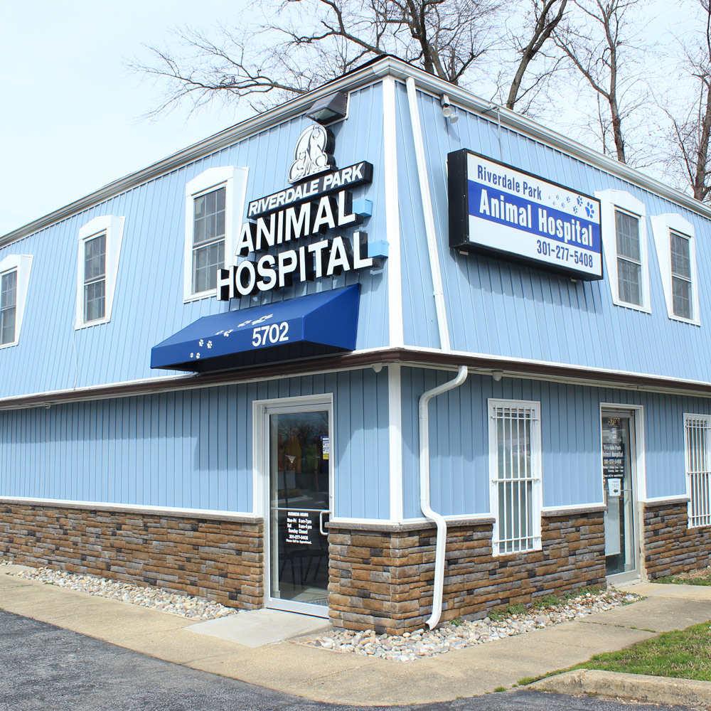 What to Expect | Riverdale Park Animal Hospital
